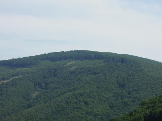 Prielačina od Skalin