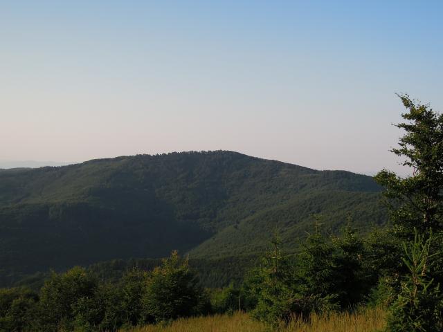 Panská Javorina z Ostrého vrchu