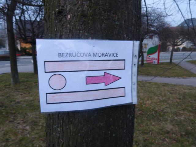 Bezručova Moravice 2018