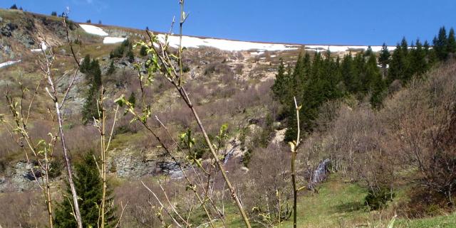 Jeseníky 16.5.