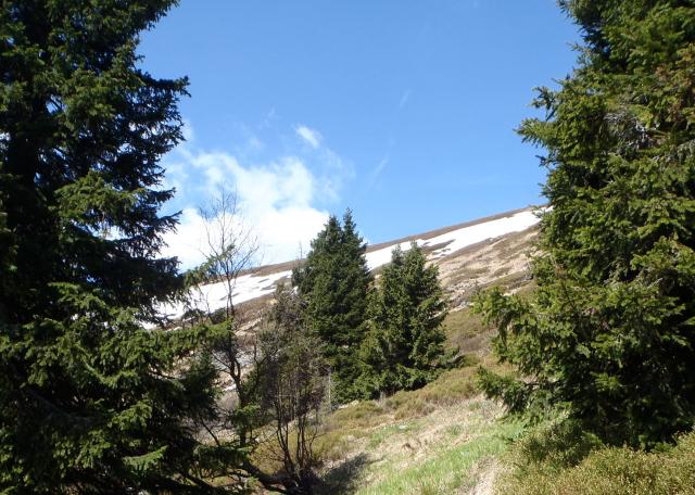 Jeseníky 16.5.