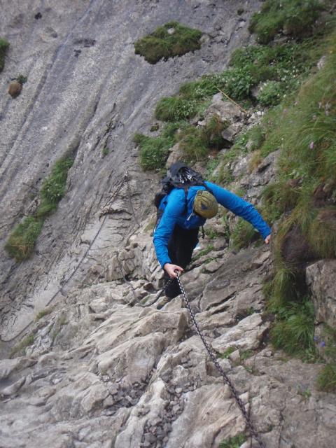 Roháče